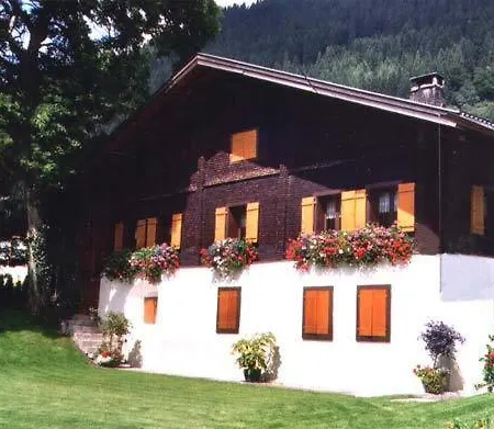 Modern In With Lovely Garden * Sankt Gallenkirch