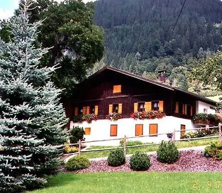 Modern In With Lovely Garden Sankt Gallenkirch