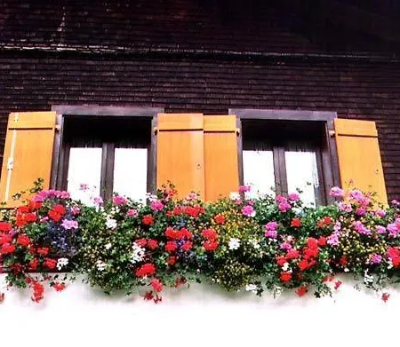 Apartment Modern In With Lovely Garden *