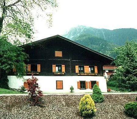 Modern In With Lovely Garden